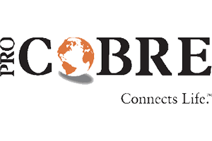 Logo Pro Cobre